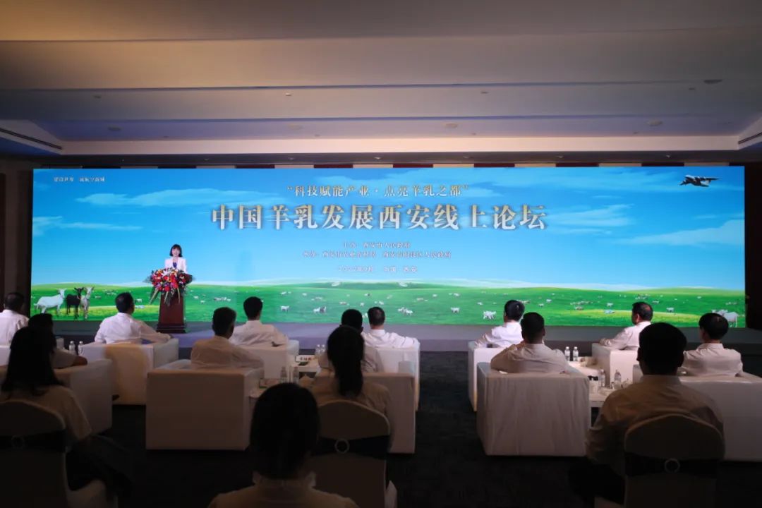 1678958672424202.jpg 1678958672424202.jpg